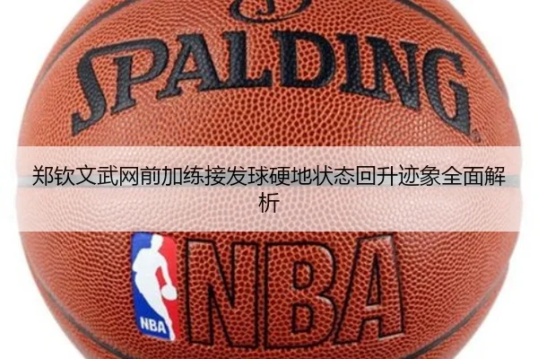 郑钦文武网前加练接发球硬地状态回升迹象全面解析 - J9